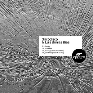Listen to Solid fee (Neskeh Remix) song with lyrics from Silicodisco