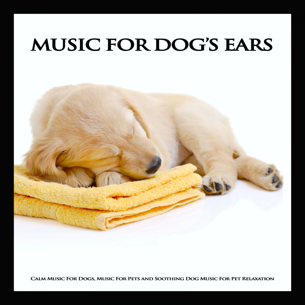 Dog Sleep Music