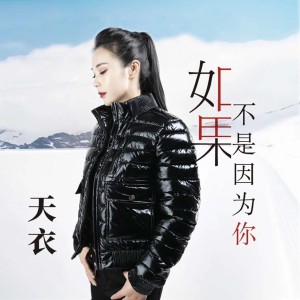 อัลบัม 如果不是因为你 ศิลปิน 天衣