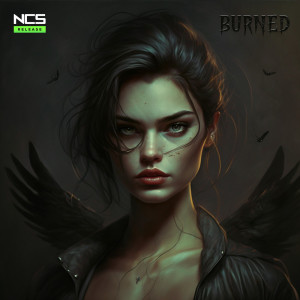 Listen to Burned (Explicit) song with lyrics from Henri Werner