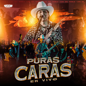 Listen to Una Aventura (En Vivo) song with lyrics from Los del roble