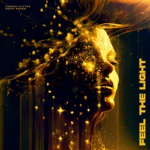 ดาวน์โหลดและฟังเพลง Feel the Light พร้อมเนื้อเพลงจาก Conrad Clifton