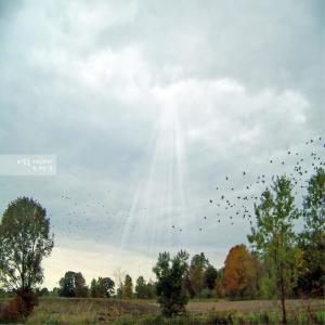 Album 마음을 기억하다 from 