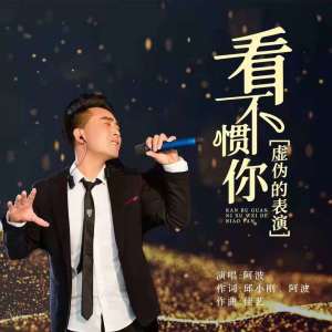 收聽阿波的南城花落歌詞歌曲