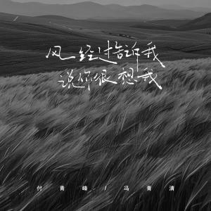 Listen to 风经过告诉我说你很想我 (Remix) song with lyrics from 付青峰
