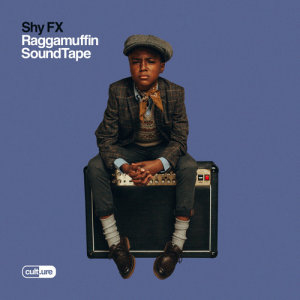 ดาวน์โหลดและฟังเพลง Rudeboy Lovesong (feat. Sweetie Irie & Cara Delevingne) พร้อมเนื้อเพลงจาก Shy Fx