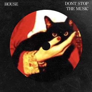 收聽Levyn的DON’T STOP THE MUSIC (HOUSE)歌詞歌曲