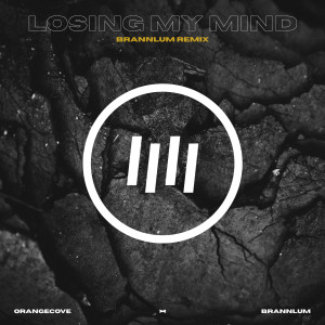 ORANGECOVE的专辑Losing My Mind (Remix)