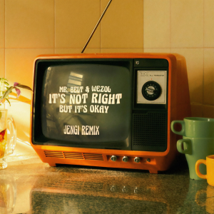收聽Mr. Belt & Wezol的It's Not Right But It's Okay (Jengi Remix)歌詞歌曲