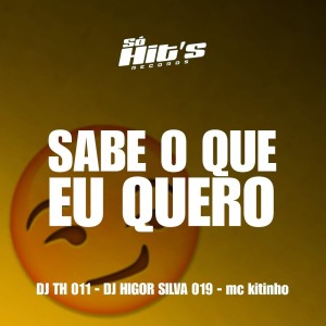 ดาวน์โหลดและฟังเพลง Sabe o Que Eu Quero (Explicit) พร้อมเนื้อเพลงจาก DJ TH 011