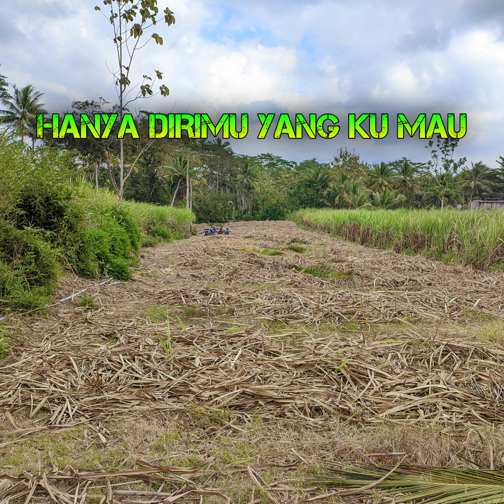 Hanya Dirimu yang Ku Mau