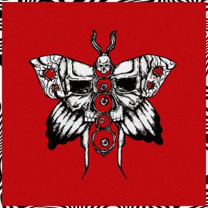 ดาวน์โหลดและฟังเพลง Stomach full of butterflies (Explicit) พร้อมเนื้อเพลงจาก Lil Liar