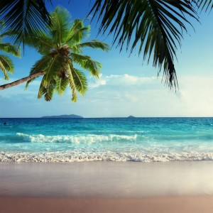 ดาวน์โหลดและฟังเพลง Summer-X พร้อมเนื้อเพลงจาก 徐梦圆