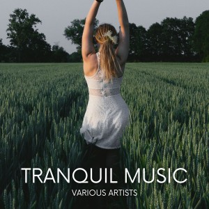 Listen to Crystal Mantra Meditation song with lyrics from Denis Moon