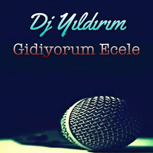 收聽DJ Yıldırım的Aşklar Palavra歌詞歌曲