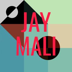 Various Artists的專輯Jay Mali