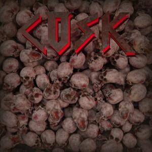 Listen to Faith(Reissued) song with lyrics from Cosk