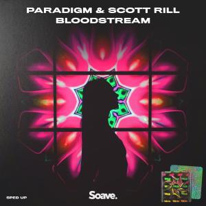 Listen to Bloodstream - Sped Up song with lyrics from ParaDigm