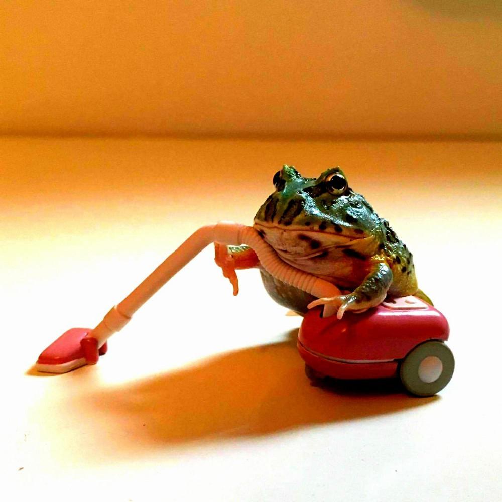 Frogg (feat. Dazigus) (Explicit)