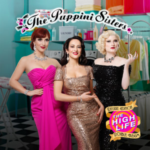 Listen to Work It (DJ Pony Remix) (其他|DJ Pony Remix) song with lyrics from The Puppini Sisters