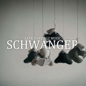 Listen to Schwanger song with lyrics from Zate