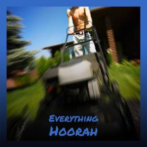 Album Everything Hoorah from Various