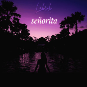 收聽Labrik的Señorita歌詞歌曲