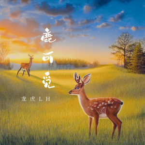 Album 鹿可觅 from 安迪荷