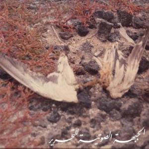 收聽Drekka的Notes: stones (in solidarity) [Part 1] (feat. Mark Trecka & Bana Haffar)歌詞歌曲