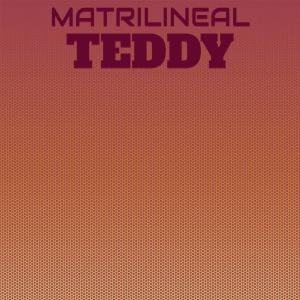 Various Artists的專輯Matrilineal Teddy