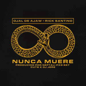 ดาวน์โหลดและฟังเพลง Nunca Muere พร้อมเนื้อเพลงจาก Ojal De Ajaw