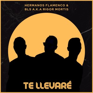 ดาวน์โหลดและฟังเพลง Te Llevaré พร้อมเนื้อเพลงจาก Hermanos Flamenco
