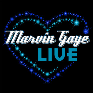 收聽Marvin Gaye的Ain't No Mountain High Enough歌詞歌曲