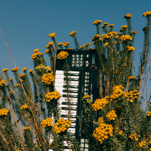 default playlist img