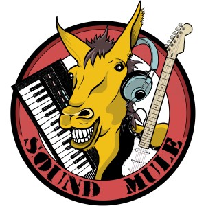 ดาวน์โหลดและฟังเพลง Neoclassical BaRock God พร้อมเนื้อเพลงจาก Sound Mule