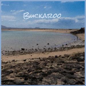 Various的专辑Buckaroo