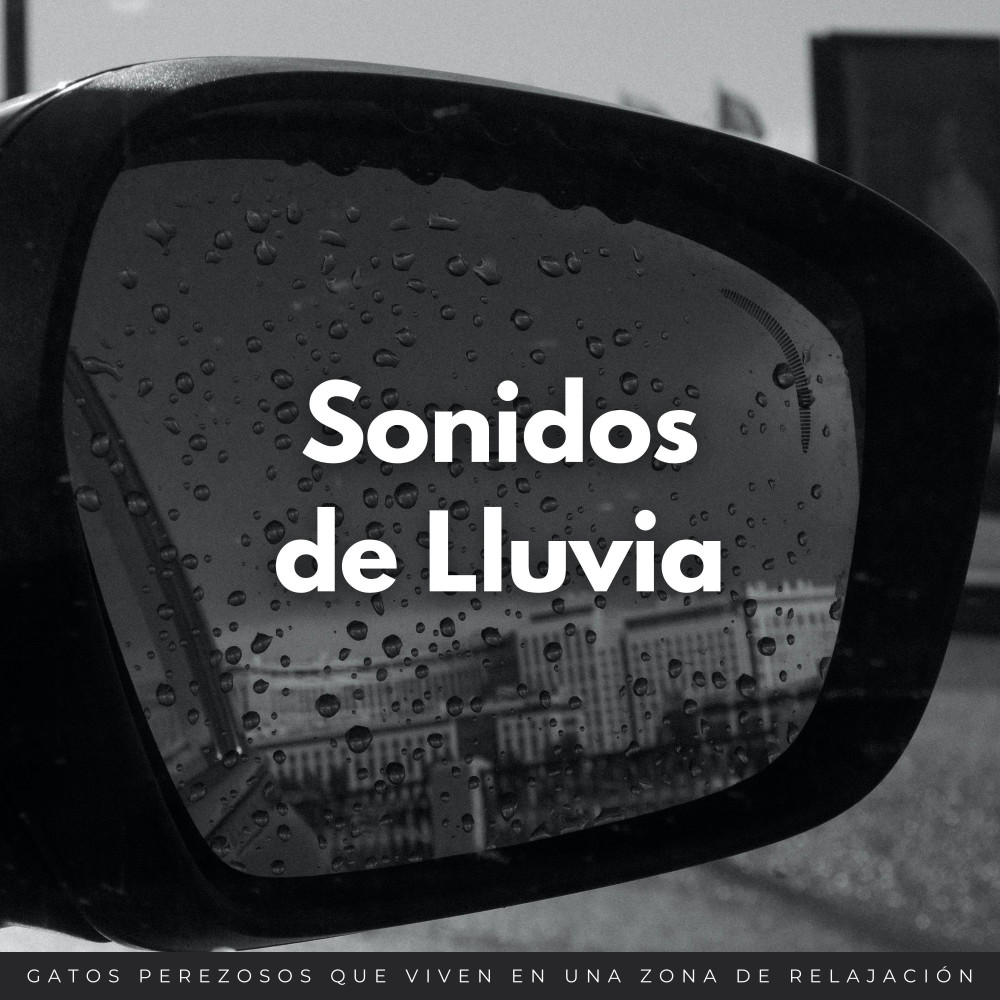 Vibraciones Perezosas Del Día Lluvioso