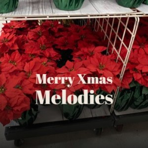 Listen to Christmas Party song with lyrics from Brendan Hanlon & the Bat Men