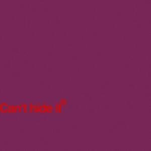 Dengarkan lagu Can’t Hide It (Explicit) nyanyian CANDY MANSON dengan lirik