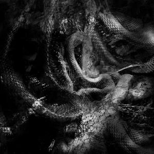 ดาวน์โหลดและฟังเพลง Invisible War พร้อมเนื้อเพลงจาก Hålbå