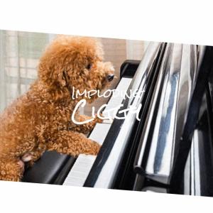 Listen to Fleece song with lyrics from Wino Buga