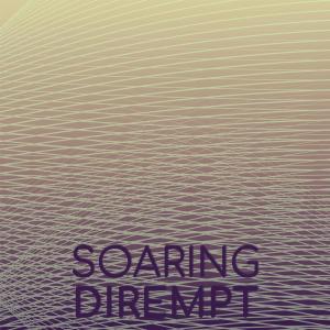 Various Artists的專輯Soaring Dirempt