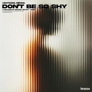 Listen to Don't Be So Shy song with lyrics from Venteris