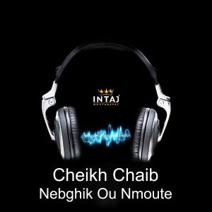 ดาวน์โหลดและฟังเพลง A Oui A Oui พร้อมเนื้อเพลงจาก Cheikh Chaïb