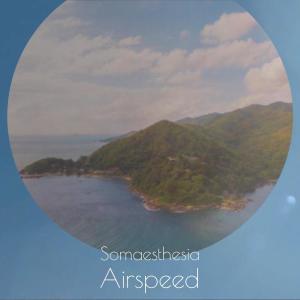 Album Somaesthesia Airspeed from Various
