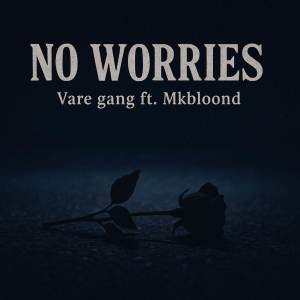 Vare gang的專輯NO WORRIES