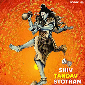 Album Shiv Tandav Stotram from VYBROS