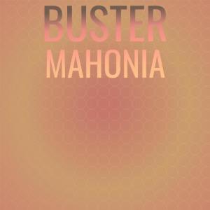 Various Artists的专辑Buster Mahonia