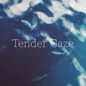 Dengarkan lagu Tender Gaze nyanyian PeriTune dengan lirik