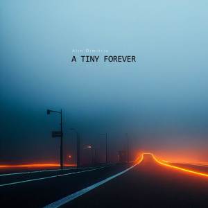 Album A Tiny Forever oleh Alin Dimitriu